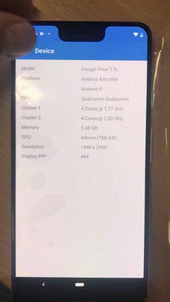 rumour pixel 3xl 5